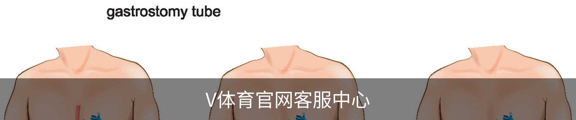 V体育官网客服中心